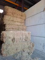 Hooi, Dieren en Toebehoren, Dierenvoeding, Ophalen of Verzenden