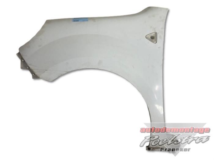 Scherm links-voor van een Renault Kangoo (O389), Auto-onderdelen, Gebruikt, -, Renault, -