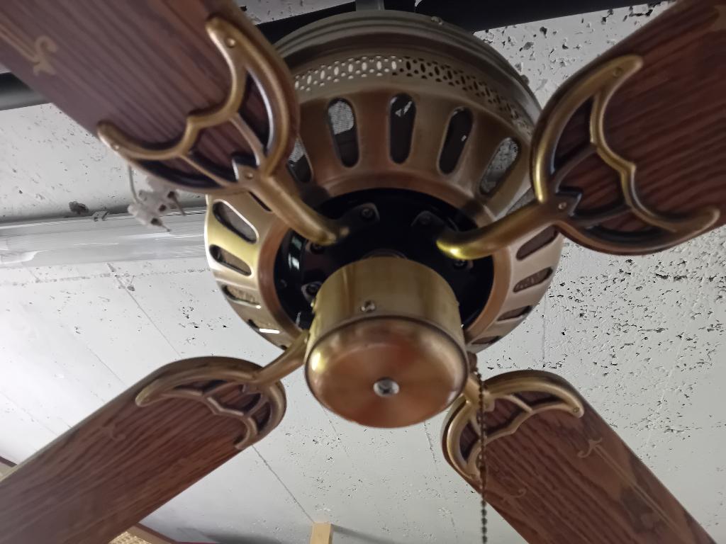 Ventilateur de plafond, Electroménager, Ventilateurs, Enlèvement, Ventilateur de plafond