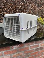 Cage de transport, Enlèvement, Utilisé