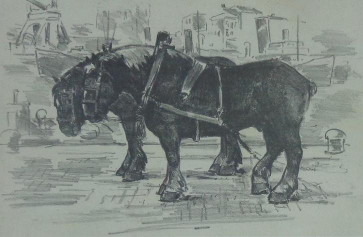 JULIEN CREYTENS / WERKPAARDEN / ZW-W LITHO / 50x60cm / KADER, Antiek en Kunst, Kunst | Litho's en Zeefdrukken, Ophalen of Verzenden