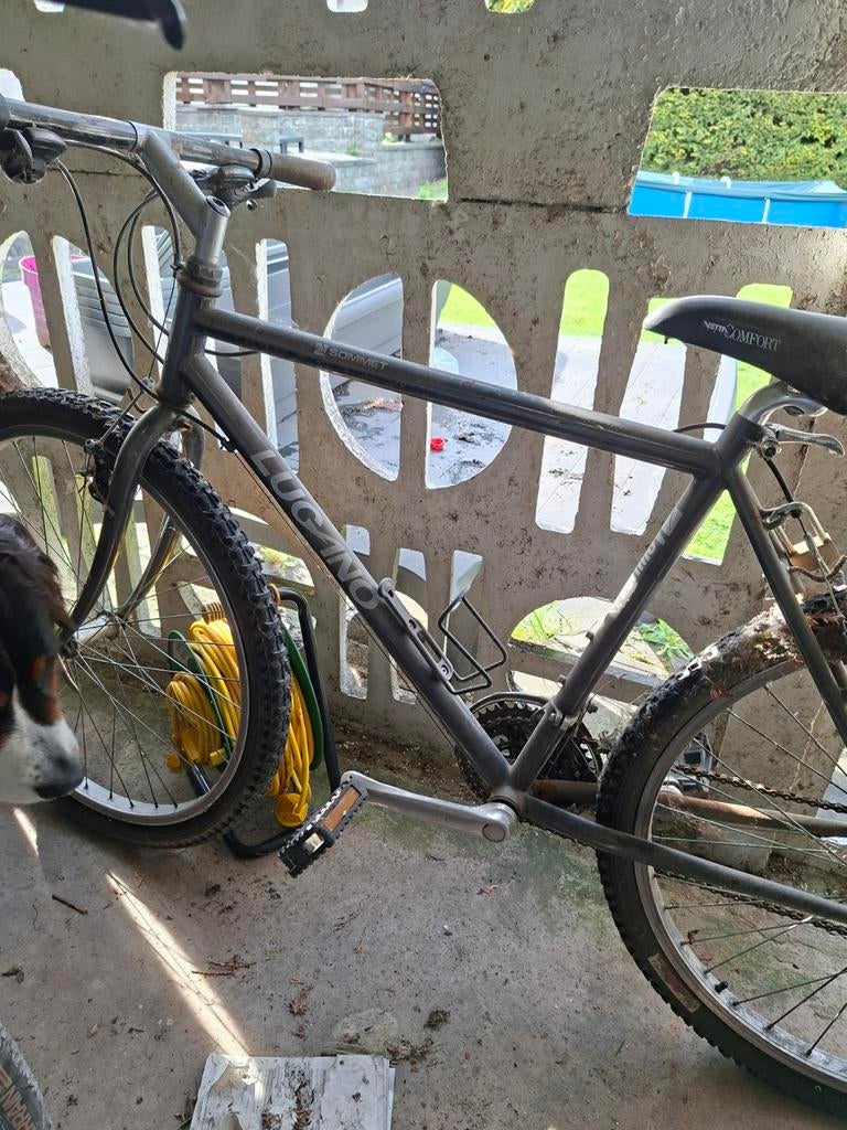 Lugano zwarte herenfiets