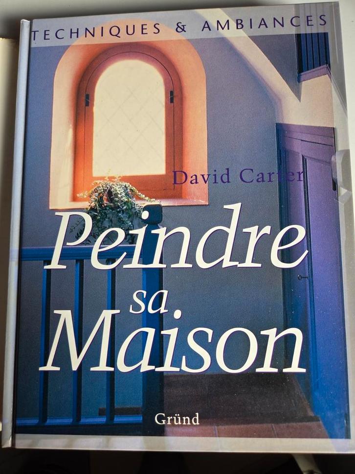 Livre peinture déco intérieur – Peindre sa maison – David Ca, Livres, Art & Culture | Architecture, Envoi