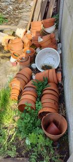 Gratis bloempotten, Tuin en Terras, Ophalen