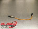 Lambda Sonde van een Renault Clio, Gebruikt, -, Renault, -