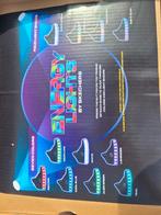 Basket skechers avec lumière, Enfants & Bébés, Vêtements enfant | Chaussures & Chaussettes, Enlèvement