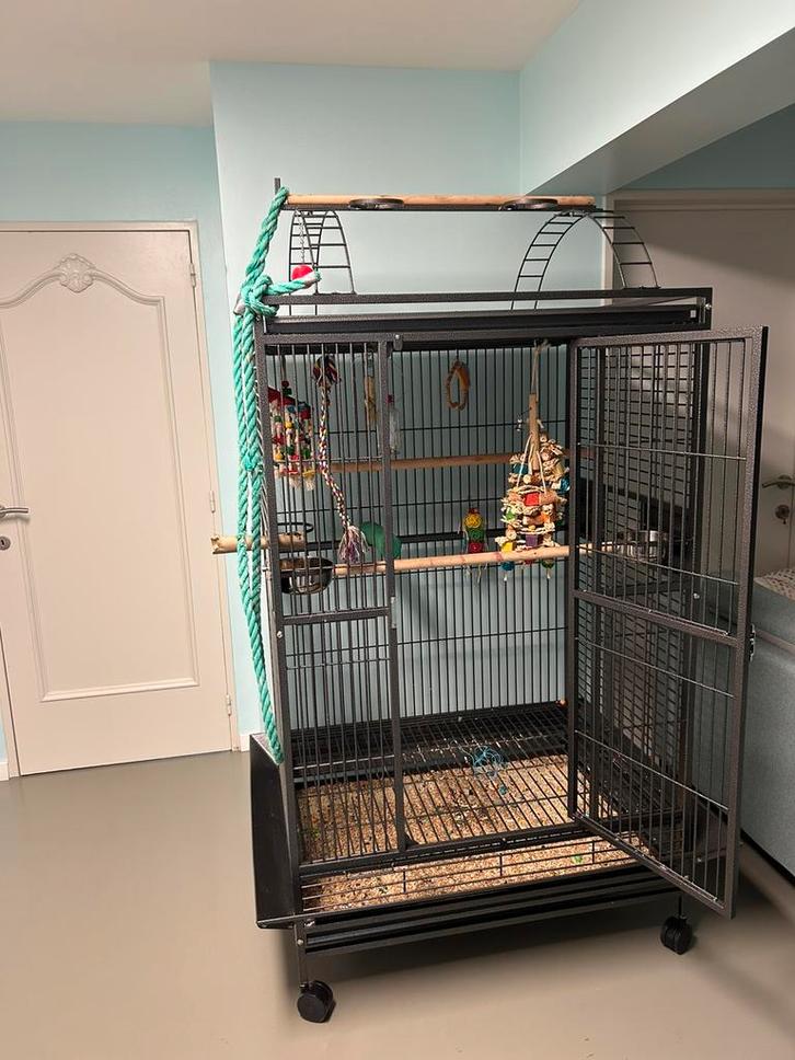Grande cage, Animaux & Accessoires, Oiseaux | Cages & Volières, Comme neuf, Volière, Enlèvement