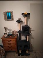 Le paradis des chats, Enlèvement ou Envoi