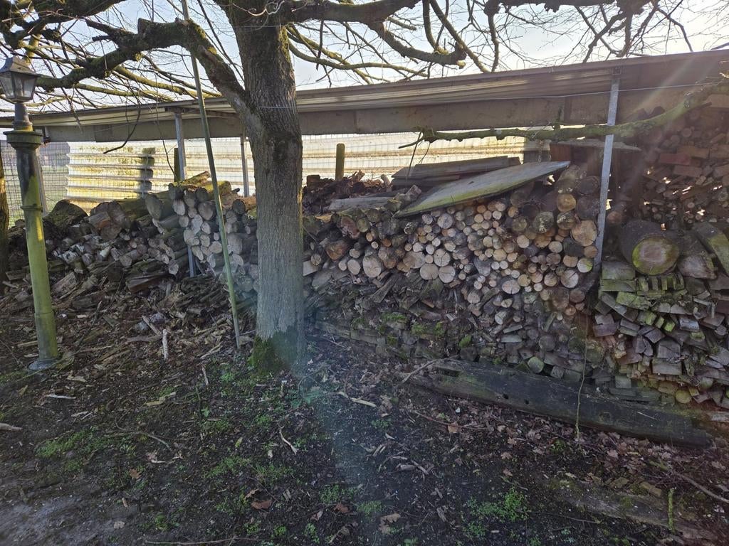 Brandhout beuk, Tuin en Terras, Ophalen, Beukenhout, Stammen