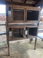Konijnenhok te koop, 90 cm ou plus, Niche, Enlèvement, Utilisé
