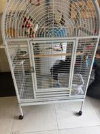 Cage pour oiseau (grand), Ophalen, Zo goed als nieuw