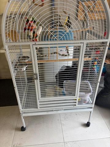 Cage pour oiseau (grand) beschikbaar voor biedingen