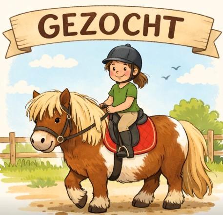 GEZOCHT: Shetlander >105cm / welsh / mini tinker/ mix, Dieren en Toebehoren, Pony's, Ruin, Zadelmak, B pony (1.17m tot 1.27m)