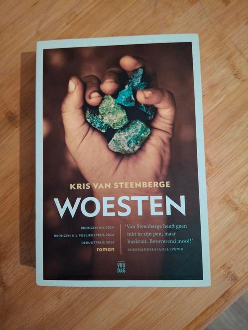 Woesten  - Kris Van Steenberge, Livres, Littérature, Comme neuf, Enlèvement ou Envoi