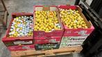 Lot golfballen, Sport en Fitness, Ophalen