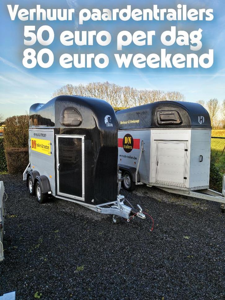 Verhuur van paardentrailers Nieuw, Animaux & Accessoires, Chevaux, B
