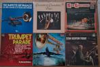 Lot de vinyles Trompette et instruments à vent, CD & DVD, Enlèvement, Utilisé