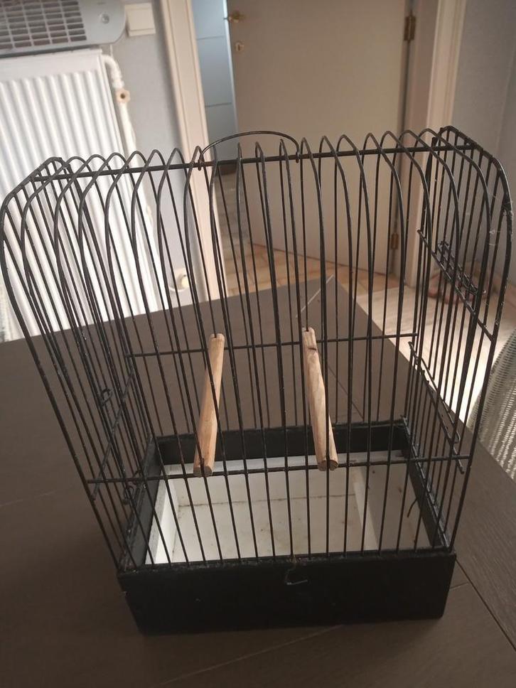 Golstertentoostellingskooien, Dieren en Toebehoren, Vogels | Hokken en Kooien, Ophalen