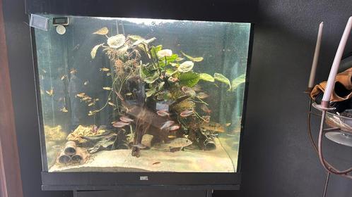 Juwel helialux 700, Dieren en Toebehoren, Vissen | Aquaria en Toebehoren, Zo goed als nieuw, Ophalen of Verzenden