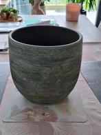 Bloempotten voor binnen, Enlèvement