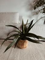 Kunstplant met houten vaas, Enlèvement, Comme neuf