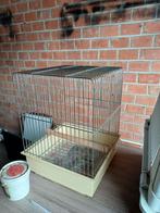 Reishok voor papegaai, Dieren en Toebehoren, Papegaai