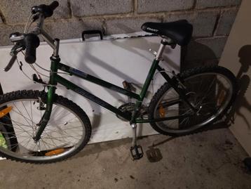 Fiets voir vrouw  beschikbaar voor biedingen