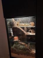 Terrarium 56x35x90 passend in IKEA Besta lijn, Dieren en Toebehoren, Ophalen of Verzenden, 90 cm of meer, Minder dan 75 cm, Nieuw