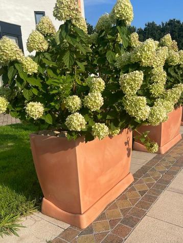 4x XXL kunststof plantenbak BLOEMBAK compleet met Limelights beschikbaar voor biedingen