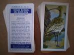 Wild Birds in Britain complete set 50 chromos vogels 1965, Nature, Enlèvement ou Envoi, 1960 à 1980