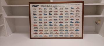 Fiat modellen overzicht 1899 - 1966 ingekaderd