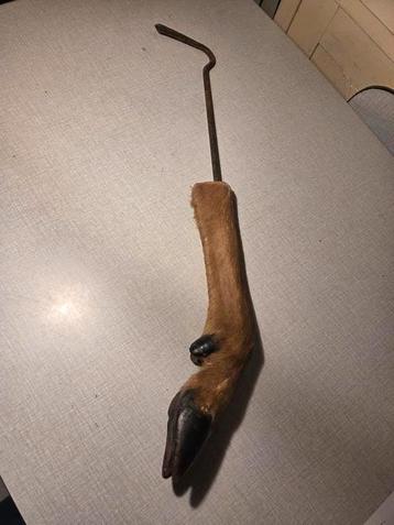 Hertenpoot - haak. beschikbaar voor biedingen