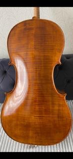 Mooie cello, Musique & Instruments, Instruments à cordes frottées | Violoncelles, Enlèvement ou Envoi
