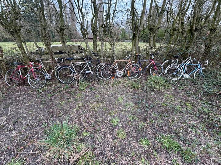 Lot vintage fietsen, Fietsen en Brommers, Fietsen | Oldtimers, Ophalen