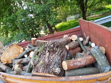Hout beschikbaar voor biedingen