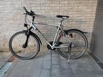 Pegasus Milano GT-S 28 Zoll, Gebruikt, Versnellingen, 49 tot 53 cm, Ophalen