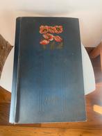 Ancien album photos carte postale Art Nouveau, Enlèvement ou Envoi