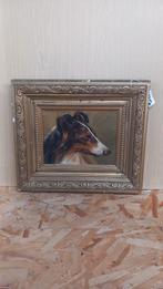 Oud schilderij – Portret van een Collie – in sierlijst, Ophalen