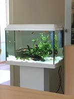 Aquarium Juwel Primo 70 liter en toebehoren, Dieren en Toebehoren, Zo goed als nieuw, Ophalen