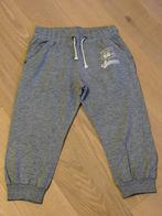 Grijze trainingsshort voor dames, Kleding | Dames, Ophalen, Zo goed als nieuw, Grijs