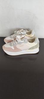 pepe jeans sneakers maat 39, Kleding | Dames, Schoenen, Ophalen, Overige kleuren, Nieuw, Sneakers