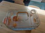 Cage a hamster de la marque zolux, Ophalen, Nieuw
