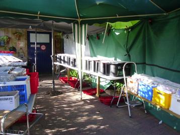 14 Juni garageverkoop Kaulille, Diversen, Ophalen, Gebruikt