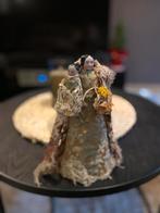 Oude popje, Antiek en Kunst, Ophalen