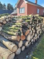 Brandhout te koop, Tuin en Terras, Brandhout, Ophalen, Overige houtsoorten, Blokken