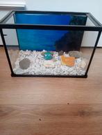 Aquarium vissen en decoratie met nieuwe steentjes, Dieren en Toebehoren, Ophalen of Verzenden, Zo goed als nieuw