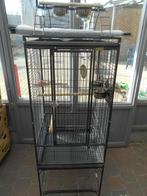papegaaienkooi, Ophalen, Zo goed als nieuw, Metaal, Vogelkooi