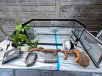 Compleet terrarium 77cm L x 30cm D x 31cm H, Dieren en Toebehoren, Ophalen, Zo goed als nieuw