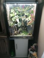 Terrarium, Dieren en Toebehoren, Reptielen en Amfibieën | Toebehoren, Ophalen, Gebruikt, Terrarium of Paludarium