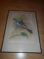 Schilderij vogel achter glas in kader, handgemaakt, Enlèvement